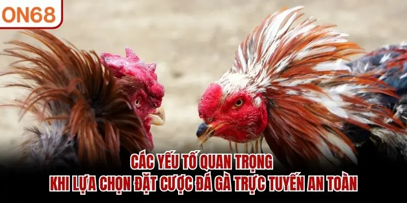Các yếu tố quan trọng khi lựa chọn đặt cược đá gà trực tuyến an toàn