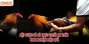 Đặt Cược Đá Gà Trực Tuyến An Toàn – Kinh Nghiệm Hiệu Quả