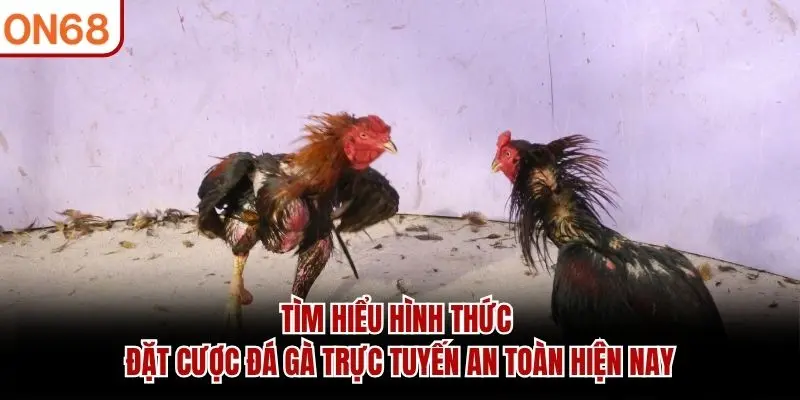 Tìm hiểu hình thức đặt cược đá gà trực tuyến an toàn hiện nay